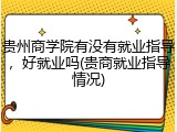 贵州商学院有没有就业指导，好就业吗(贵商就业指导情况)