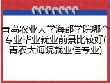 青岛农业大学海都学院哪个专业毕业就业前景比较好(青农大海院就业佳专业)