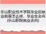 乐山职业技术学院毕业后就业前景怎么样，毕业生去向(乐山职院就业去向)