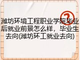 潍坊环境工程职业学院毕业后就业前景怎么样，毕业生去向(潍坊环工就业去向)