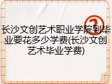 长沙文创艺术职业学院到毕业要花多少学费(长沙文创艺术毕业学费)