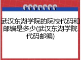 武汉东湖学院的院校代码和邮编是多少(武汉东湖学院代码邮编)