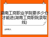 湖南工商职业学院要多少分才能进(湖南工商职院录取线)