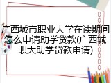广西城市职业大学在读期间怎么申请助学贷款(广西城职大助学贷款申请)