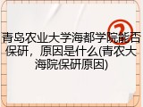 青岛农业大学海都学院能否保研，原因是什么(青农大海院保研原因)