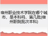 宿州职业技术学院在哪个城市，是本科吗，第几批(宿州职院批次本科)