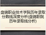盘锦职业技术学院历年录取分数线深度分析(盘锦职院历年录取线分析)