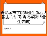 青岛城市学院毕业生就业大致去向如何(青岛学院毕业生去向)