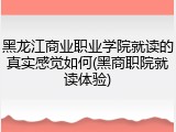 黑龙江商业职业学院就读的真实感觉如何(黑商职院就读体验)