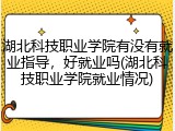 湖北科技职业学院有没有就业指导，好就业吗(湖北科技职业学院就业情况)