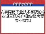 安徽商贸职业技术学院的专业设置概况介绍(安徽商贸专业概览)