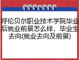 呼伦贝尔职业技术学院毕业后就业前景怎么样，毕业生去向(就业去向及前景)