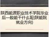 陕西能源职业技术学院毕业后一般能干什么呢(陕能院就业方向)