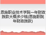 恩施职业技术学院一年财政拨款大概多少钱(恩施职院年财政拨款)