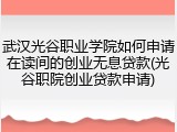 武汉光谷职业学院如何申请在读间的创业无息贷款(光谷职院创业贷款申请)
