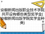 安徽新闻出版职业技术学院共开设有哪些类型奖学金(安徽新闻出版学院奖学金种类)