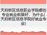 天府新区信息职业学院哪些专业就业前景好，为什么(天府新区信息学院好就业专业)