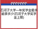 石河子大学一年奖学金最多能拿多少(石河子大学奖学金上限)