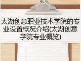 太湖创意职业技术学院的专业设置概况介绍(太湖创意学院专业概览)