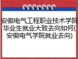 安徽电气工程职业技术学院毕业生就业大致去向如何(安徽电气学院就业去向)