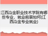 江西冶金职业技术学院有哪些专业，就业前景如何(江西冶金专业就业)