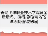 青岛飞洋职业技术学院含金量量吗，值得报吗(青岛飞洋职院值得报吗)