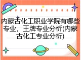内蒙古化工职业学院有哪些专业，王牌专业分析(内蒙古化工专业分析)