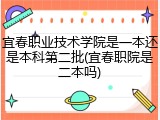 宜春职业技术学院是一本还是本科第二批(宜春职院是二本吗)