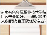 湖南有色金属职业技术学院什么专业最好，一年招多少人(湖南有色职院优势专业)