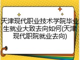 天津现代职业技术学院毕业生就业大致去向如何(天津现代职院就业去向)