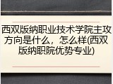 西双版纳职业技术学院主攻方向是什么，怎么样(西双版纳职院优势专业)