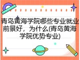 青岛黄海学院哪些专业就业前景好，为什么(青岛黄海学院优势专业)