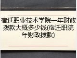 宿迁职业技术学院一年财政拨款大概多少钱(宿迁职院年财政拨款)
