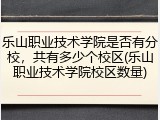 乐山职业技术学院是否有分校，共有多少个校区(乐山职业技术学院校区数量)