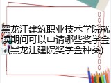 黑龙江建筑职业技术学院就读期间可以申请哪些奖学金(黑龙江建院奖学金种类)