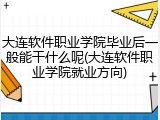 大连软件职业学院毕业后一般能干什么呢(大连软件职业学院就业方向)