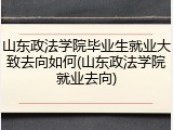 山东政法学院毕业生就业大致去向如何(山东政法学院就业去向)