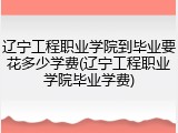 辽宁工程职业学院到毕业要花多少学费(辽宁工程职业学院毕业学费)