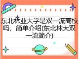 东北林业大学是双一流高校吗，简单介绍(东北林大双一流简介)