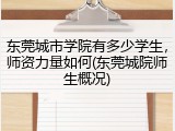 东莞城市学院有多少学生，师资力量如何(东莞城院师生概况)