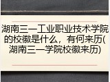 湖南三一工业职业技术学院的校徽是什么，有何来历(湖南三一学院校徽来历)