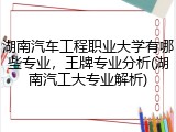 湖南汽车工程职业大学有哪些专业，王牌专业分析(湖南汽工大专业解析)