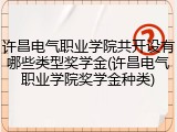 许昌电气职业学院共开设有哪些类型奖学金(许昌电气职业学院奖学金种类)