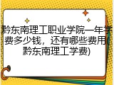 黔东南理工职业学院一年学费多少钱，还有哪些费用(黔东南理工学费)