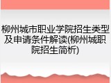 柳州城市职业学院招生类型及申请条件解读(柳州城职院招生简析)