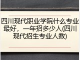 四川现代职业学院什么专业最好，一年招多少人(四川现代招生专业人数)