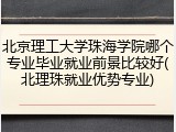 北京理工大学珠海学院哪个专业毕业就业前景比较好(北理珠就业优势专业)