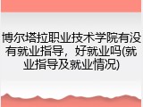 博尔塔拉职业技术学院有没有就业指导，好就业吗(就业指导及就业情况)
