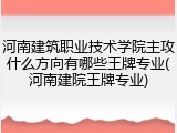 河南建筑职业技术学院主攻什么方向有哪些王牌专业(河南建院王牌专业)