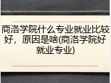 商洛学院什么专业就业比较好，原因是啥(商洛学院好就业专业)